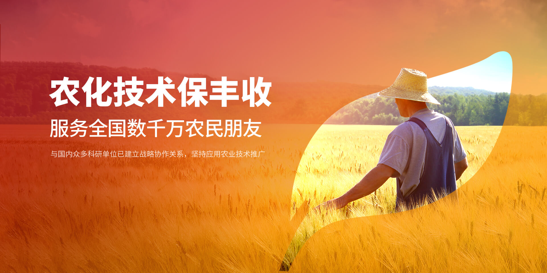玛雅吧官网