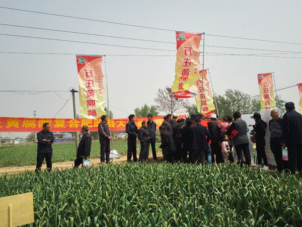 培肥养地夺高产 不妨试试黄腐酸 ——玛雅吧官网科技有限公司河南睢县大蒜观摩会
